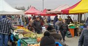 Będzin: Sprawdzamy ceny na targowisku. Kupisz tu warzywa i jabłka za grosze, swojskie jajka i kiszonki