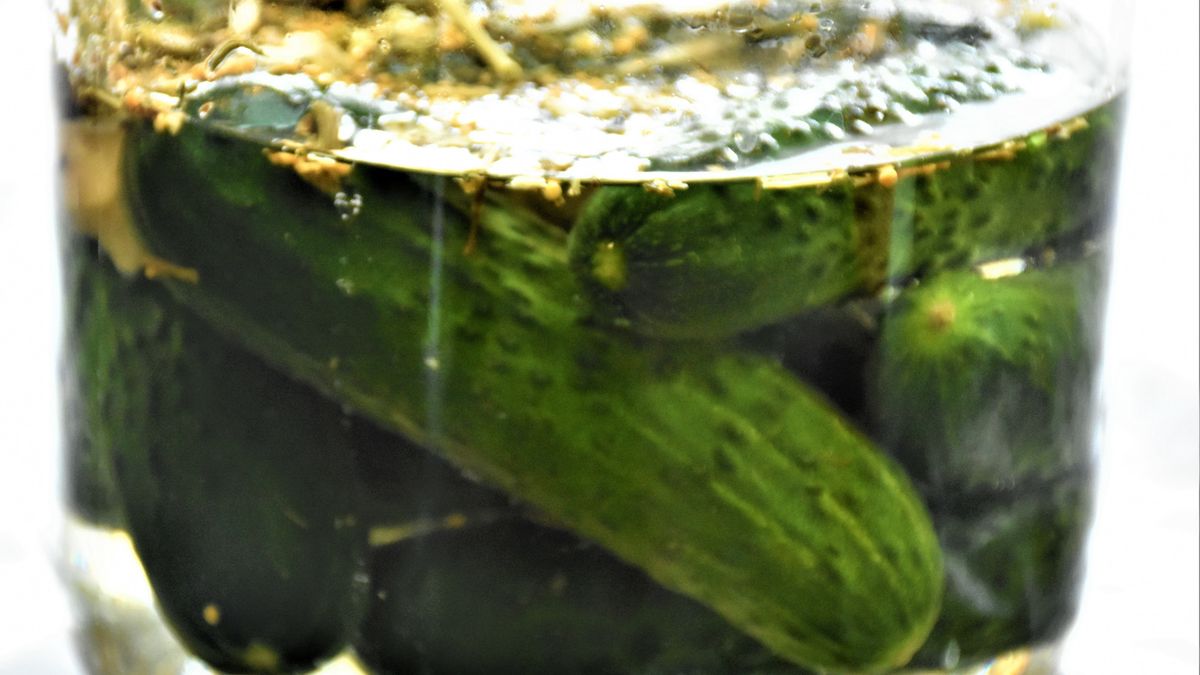 Jaki koper do kiszenia ogórków? Nie każdy się nada