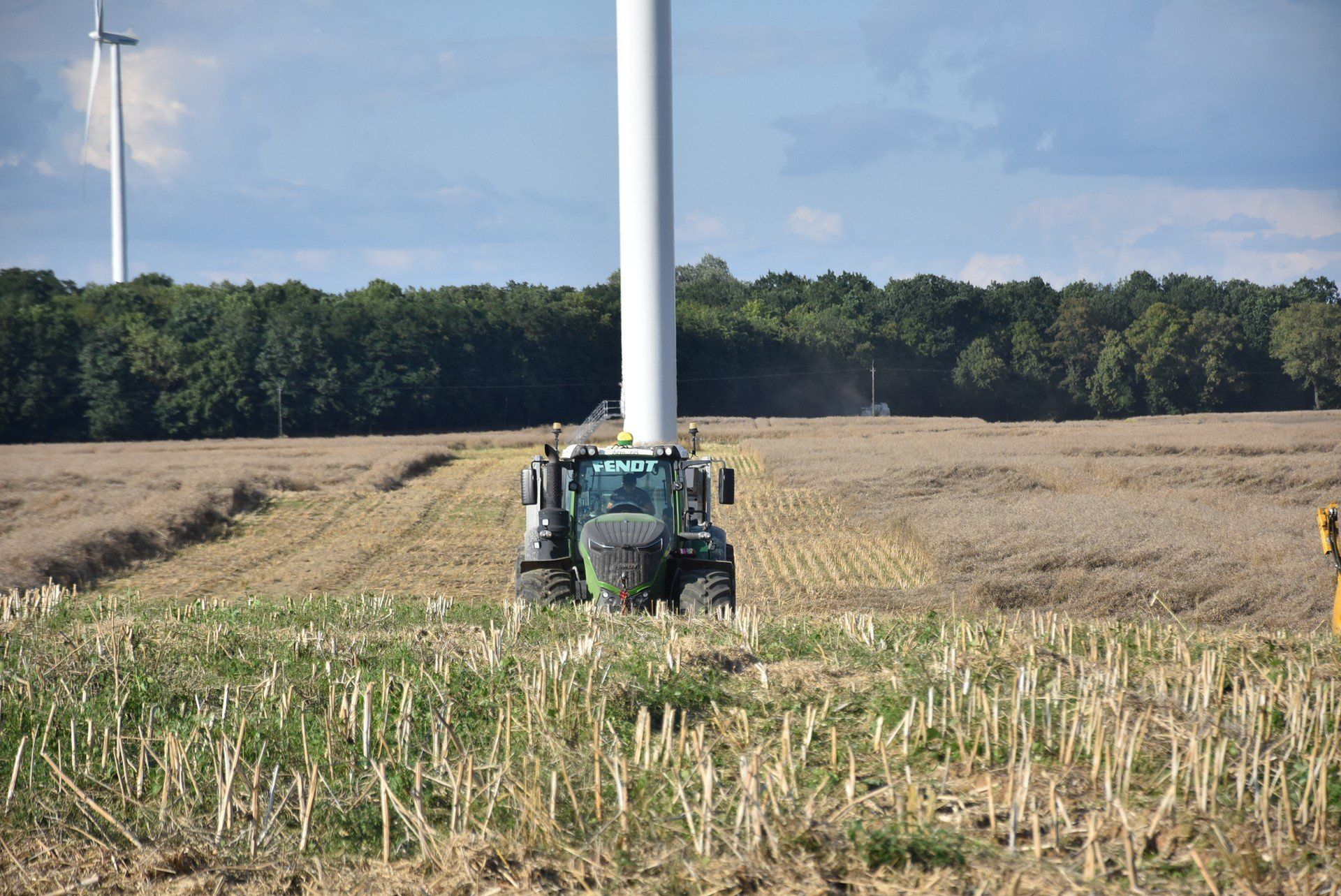 Chłodne i deszczowa lato to zmora rolników