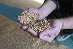 Zakaz nie taki szczelny. KAS o pewnym wyjątku