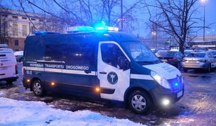 PiS na odchodne chce stworzyć kolejną służbę mundurową. Jest projekt