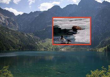 Wreszcie dał się przyłapać. Pierwsze takie nagranie z okolic Morskiego Oka