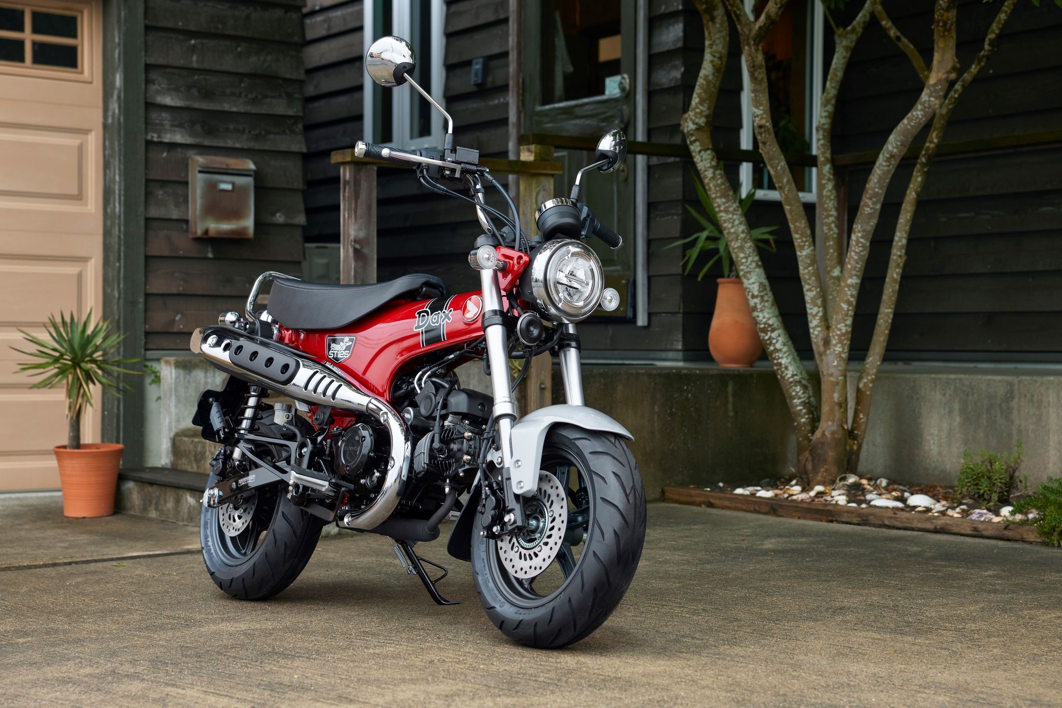 Honda Dax