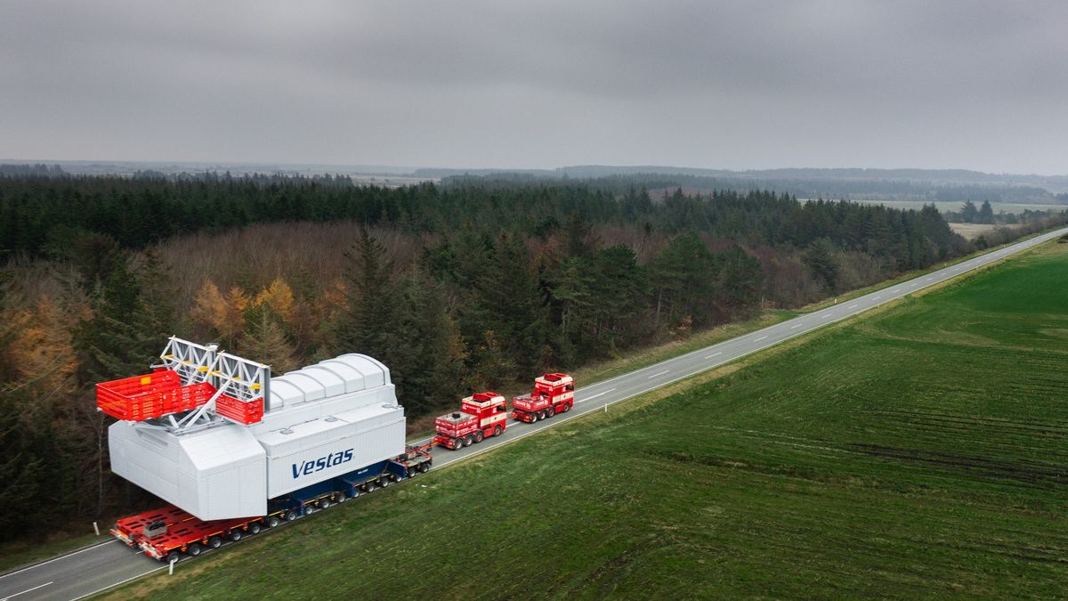 Taki transport to niecodzienny widok na drogach