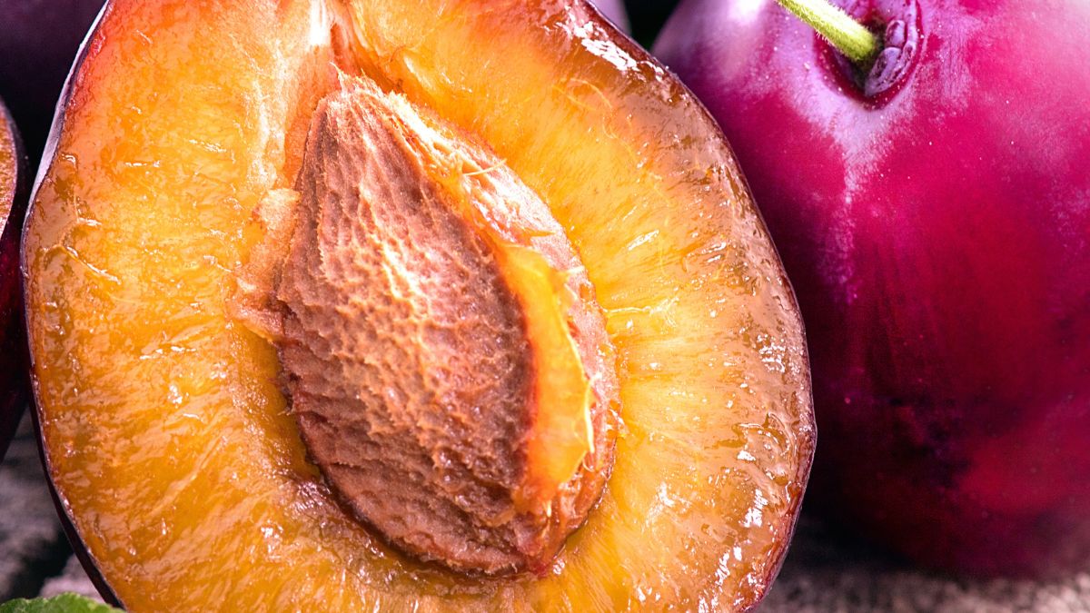 Jak pestkować śliwki?