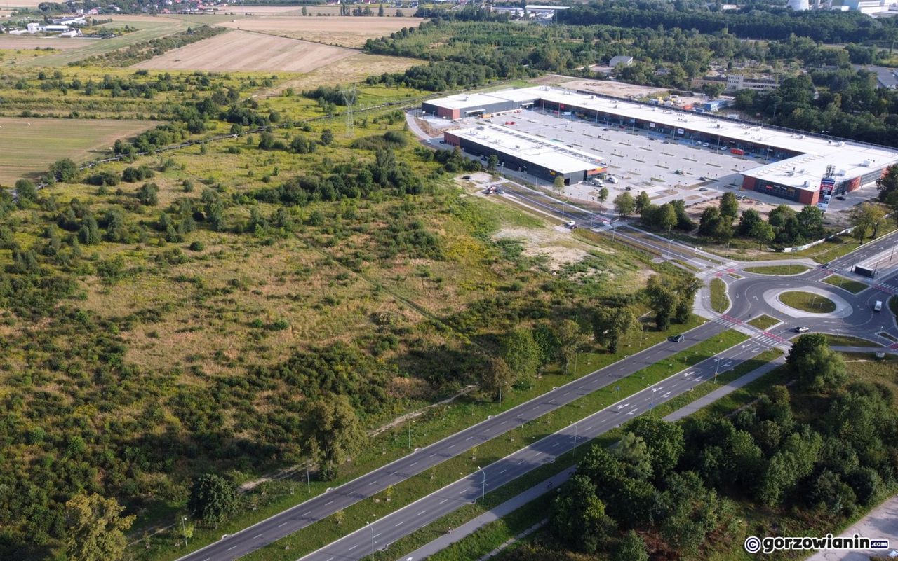 Gorzów: Tu miał powstać Selgros. Zamiast marketu są tylko chaszcze