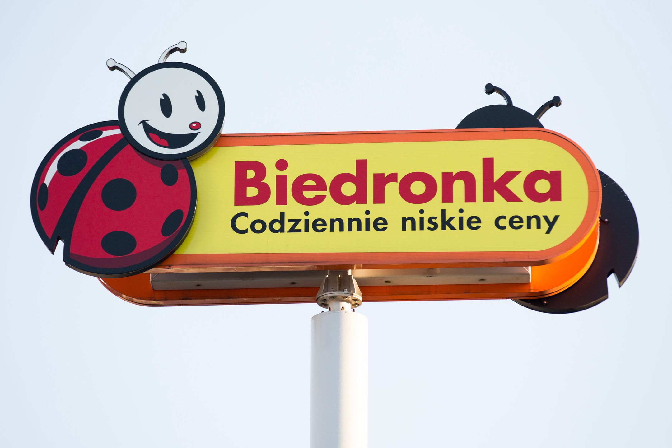 Biedronka