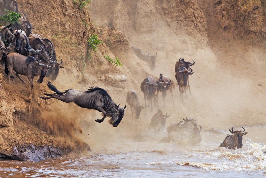 Znamy zwycięzców i finalistów Smithsonian Photo Contest 2015 16