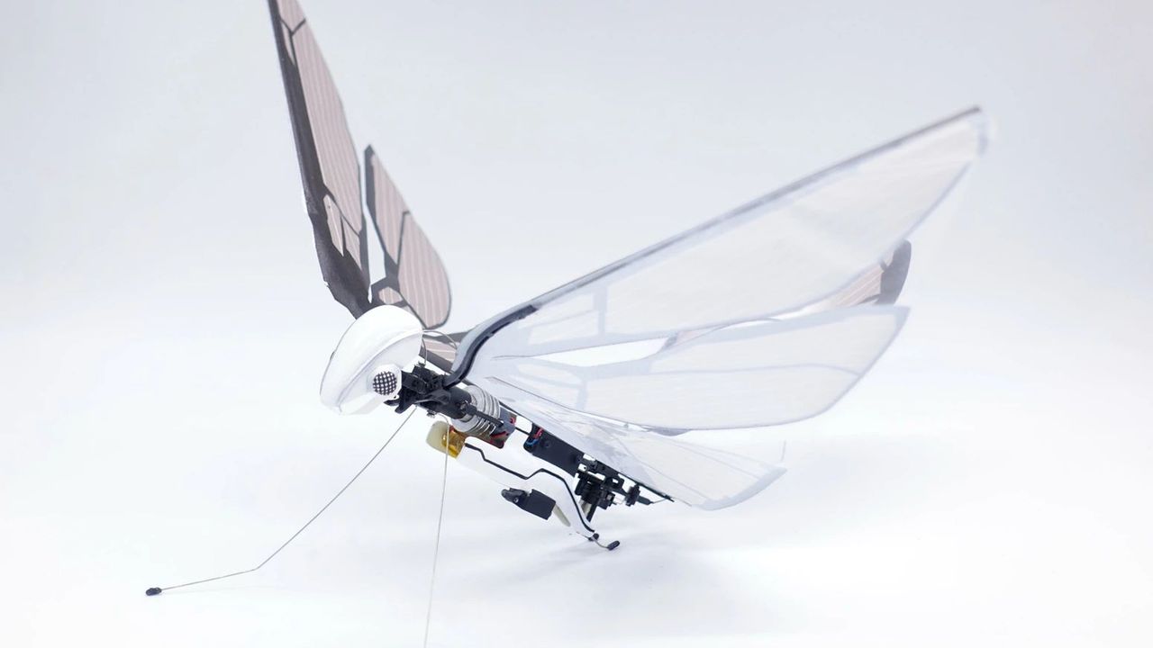 Bioniczny dron MetaFly. Niesamowita maszyna, która lata jak nietoperz