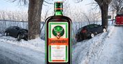 Bytów: Audi, drzewo i… JAGERMEISTER. Nikodem kontra bytowska policja