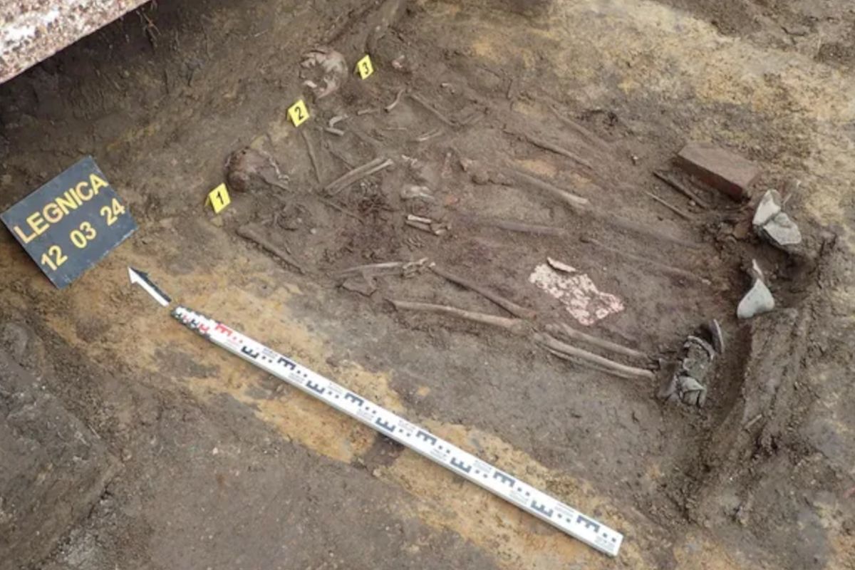 Makabryczne znalezisko w Legnicy. Znaleźli szczątki trzech osób