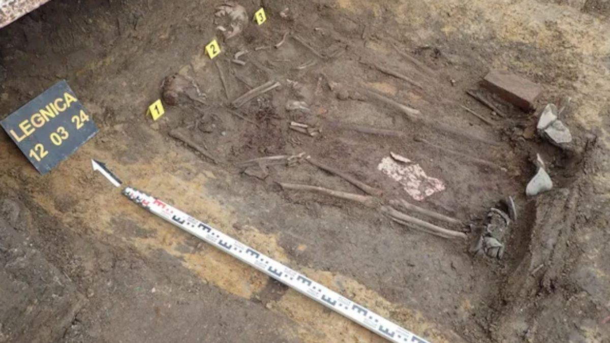 Znalezisko w Legnicy.