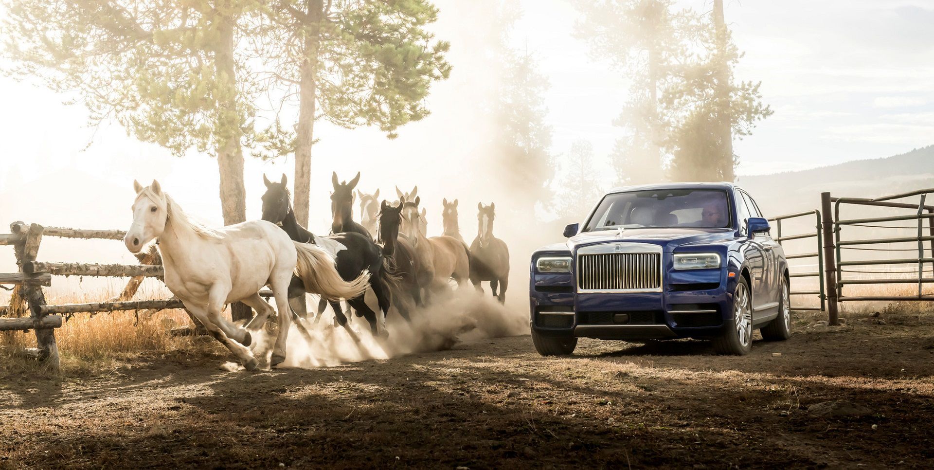 Rolls-Royce Cullinan (2019) (fot. James Lipman)