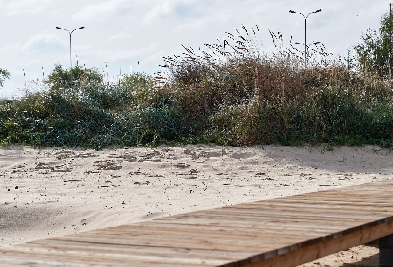 Makabra na plaży. Mężczyzna stracił dłoń