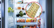 Jaką temperaturę ustawić w lodówce latem? Ta wiedza pozwoli ci zaoszczędzić