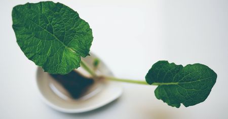 Linux Mint zhakowany przez dwoje dzieci