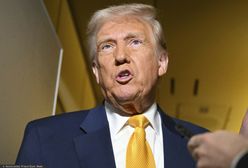 Wojna celna Trumpa. Ucierpieć mogą polskie usługi