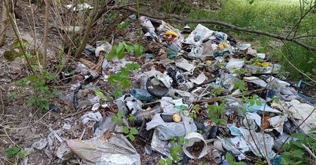 Akcja Czysta Wisła w Lublinie. Wolontariusze posprzątają rzekę przepływającą przez nasze miasto