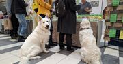 Co robić we Wrocławiu w weekend 23-24 maja? Sprawdź nasze propozycje