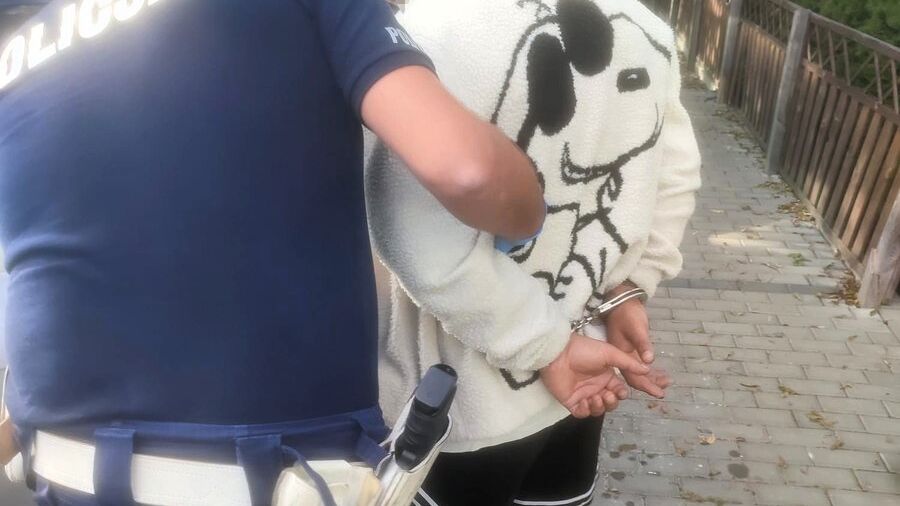 policja