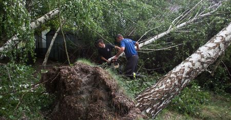 Burze nad Polską. Drzewo przewróciło się na namioty na kempingu