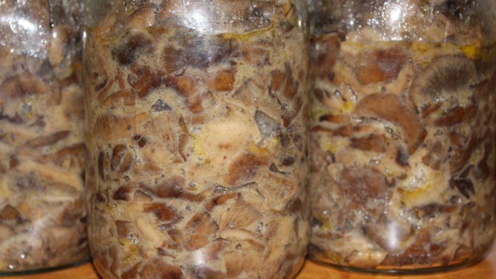 Duszone grzyby w słoikach