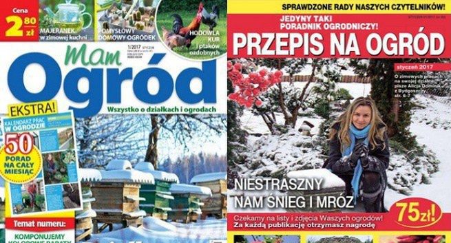 „Działkowiec” liderem sprzedaży w 2017 roku, wszystkie tytuły na minusie