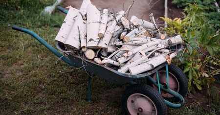 Nie wolno tego robić na działce. Mandat nawet 1500 zł
