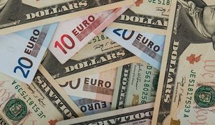 Euro najdroższe od 2012 roku. Dolar blisko kilkunastoletnich szczytów