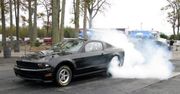 Ford Mustang Cobra Jet - z wściekłą kobrą na błotniku