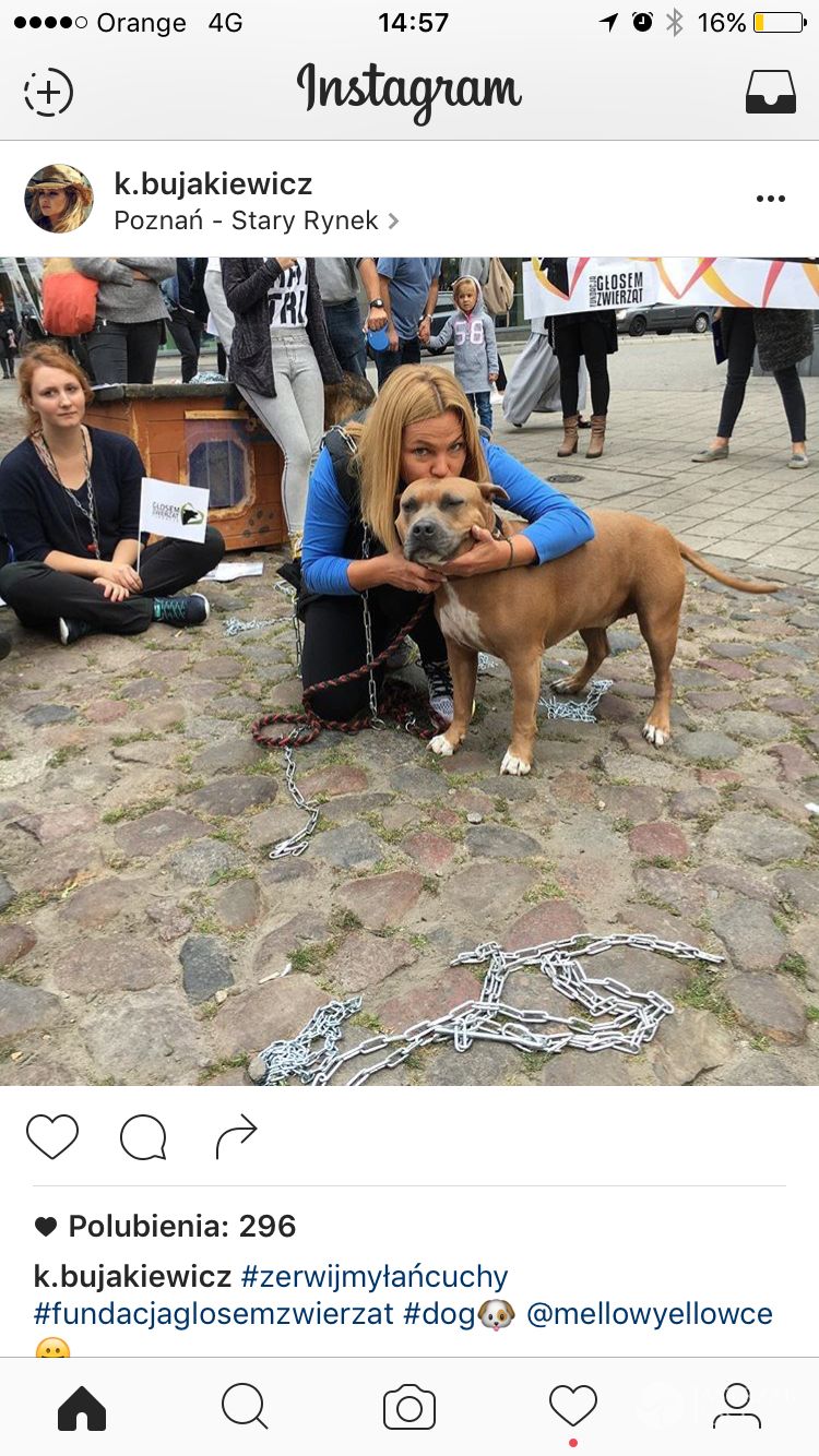 Katarzyna Bujakiewicz - Zerwijmy łańcuchy 2016