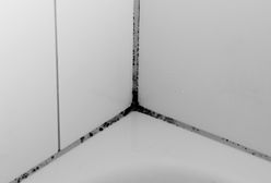 Jak usunąć pleśń z silikonu w kabinie prysznicowej?