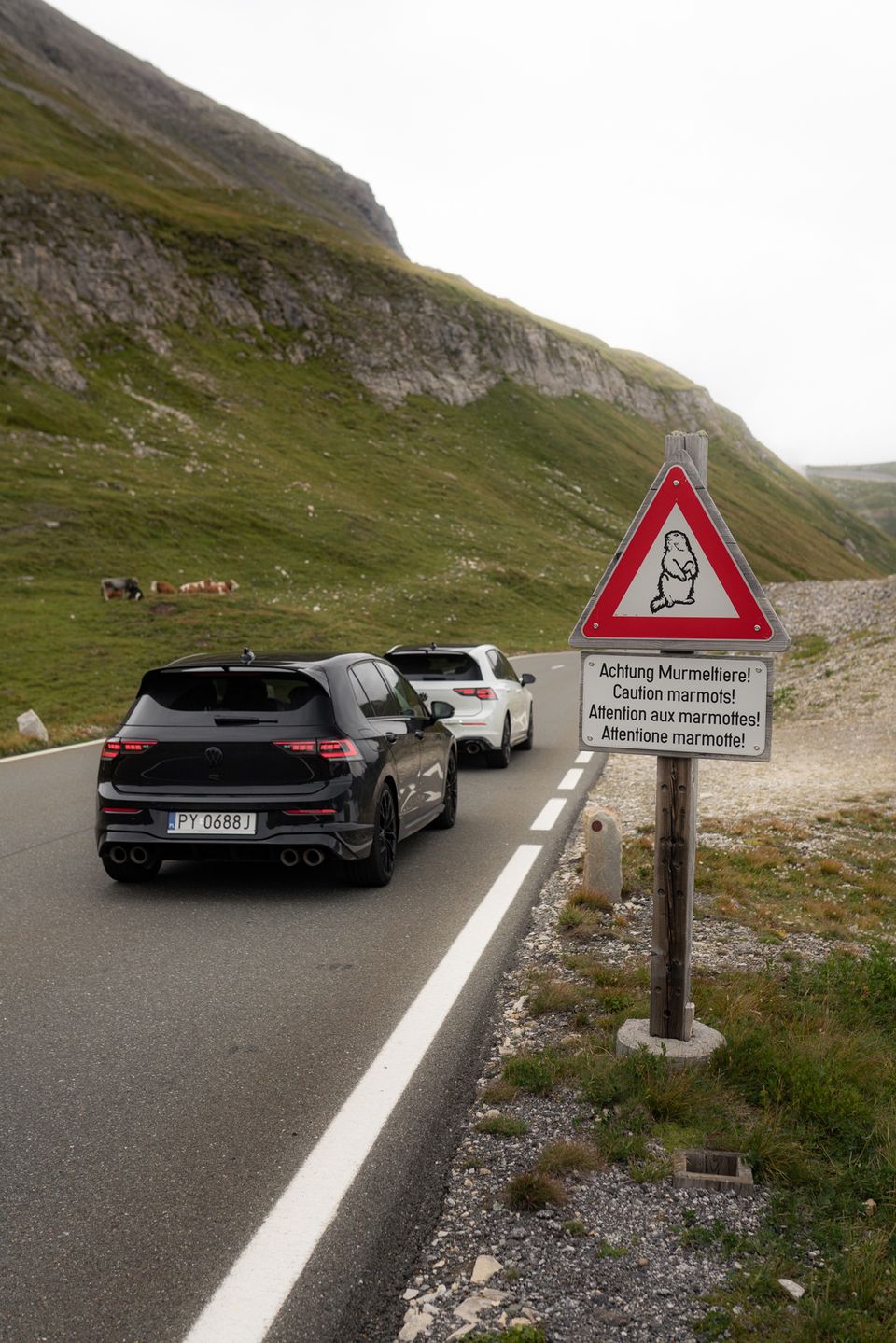 Gran turismo: Volkswagen Golf GTI Clubsport i R w Alpach