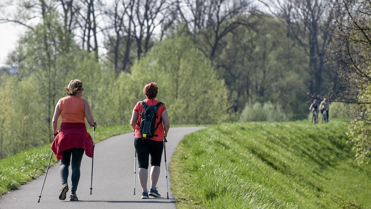 PAP/EPA / Drahoslav Ramik / Nordic walking