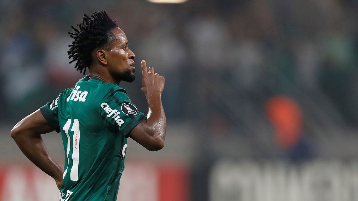 Zdjęcie okładkowe artykułu: Newspix /  / Ze Roberto (Palmeiras Sao Paulo)