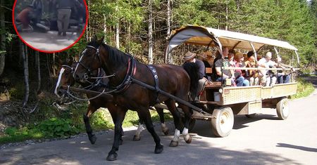 Koniec z końmi na Morskim Oku? Mamy odpowiedź burmistrza Zakopanego