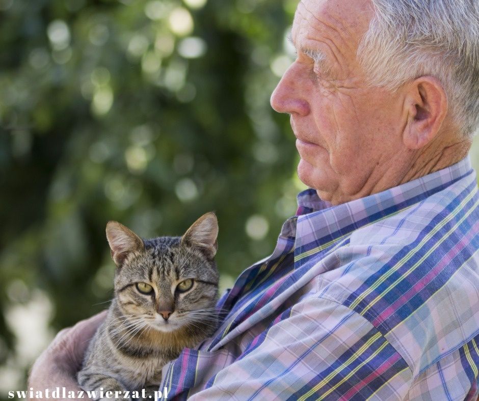 felinoterapia, leczenie kotem