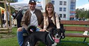 Stargard: To decyzja, która odmienia codzienność. Pies ze schroniska to prawdziwy skarb
