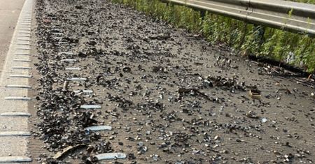Chaos na australijskiej autostradzie. 750 kg metalu zniszczyło setki aut