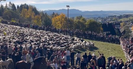 Tłumy zjechały do małej wsi. Niesamowite nagranie