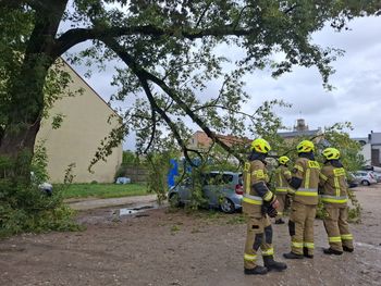 Skierniewice: Konar przygniótł samochód na parkingu na tyłach Ratusza