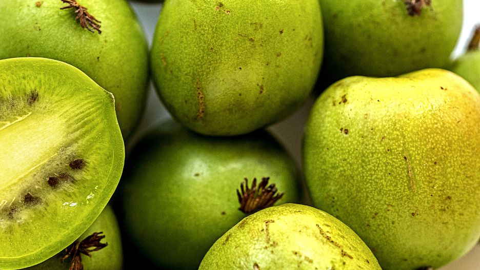 Mini kiwi kryje w sobie dużo wartości odżywczych