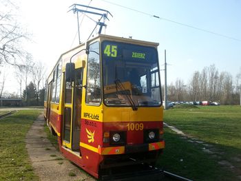 Zgierz: Kontrolerzy mają żniwa, a pasażerowie płaczą i płacą. W tramwajach na terenie Zgierza nigdy nie kasuj zgierskiego biletu, bo mandat murowany