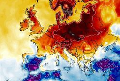 Pogoda. Mocne uderzenie wiosny. Nawet 18 stopni Celsjusza