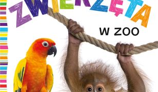 Maluszek poznaje Zwierzęta w zoo