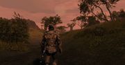 Twórcy pokazali gigantyczny postęp remake’u Morrowinda - Skywind żyje i wygląda absurdalnie ambitnie