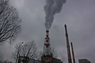Raport o ograniczeniu emisji CO2. Polska na szarym końcu