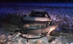 Takiego zwierza na drodze nikt się nie spodziewał. 18-latka w szpitalu