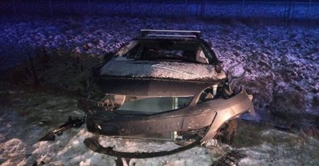 Takiego zwierza na drodze nikt się nie spodziewał. 18-latka w szpitalu
