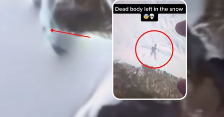 Odkrył ciało na Google Maps. Zwłoki porzucone w śniegu?